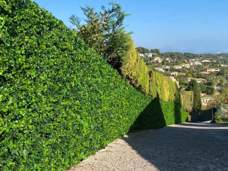 Remplacement de la clôture basse et mise en place d’un brise-vue artificiel réaliste modèle Hélix à Vallauris
