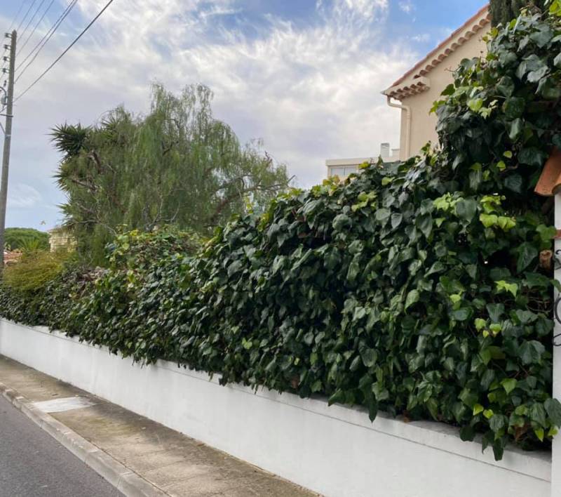 Réfection d’une clôture en mauvais état. Mise en place d’un brise-vue modèle Lentisque à Antibes