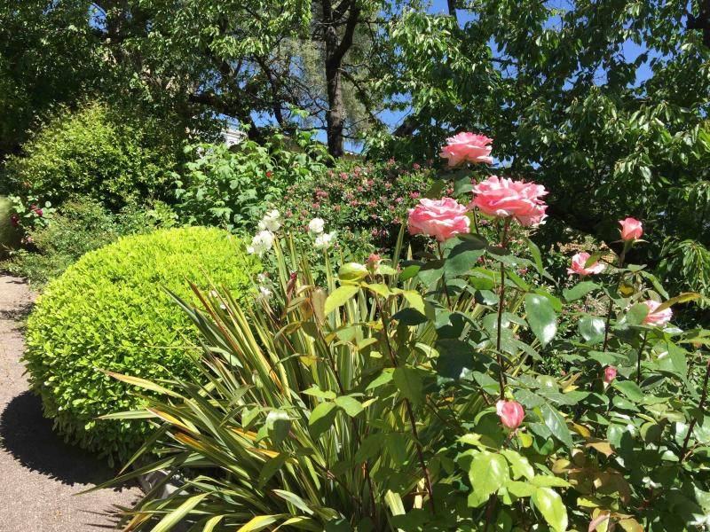 Aménagement paysager professionnel à Antibes