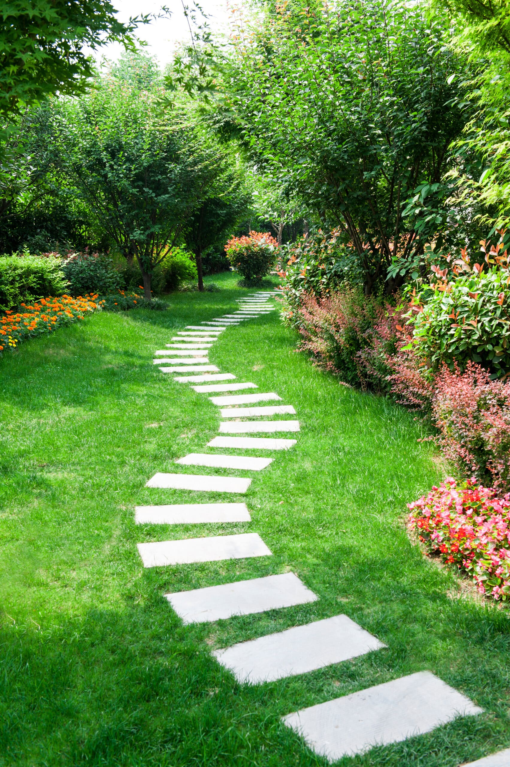 Chemin de dalles en pierre serpente dans un jardin luxuriant. Pelouse verte, arbres et buissons variés, fleurs oranges et rouges vif.